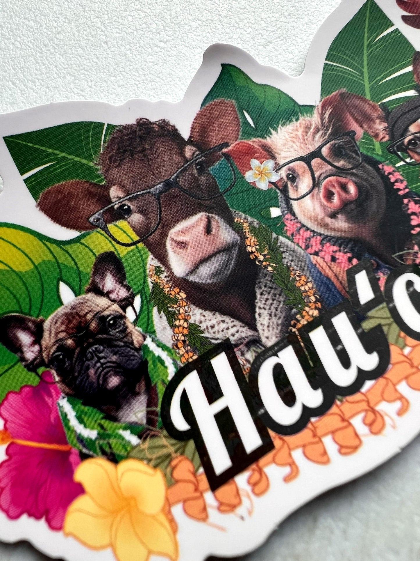 Happy Birthday Aloha Pets (Gift Add On)