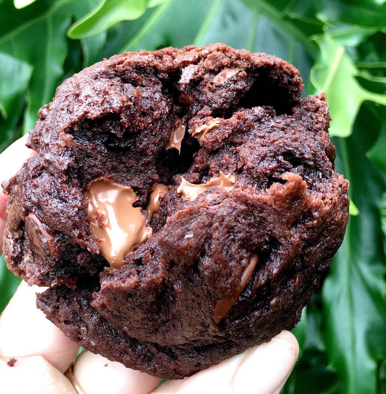 Kona Coffee Dark Chocolate Espresso