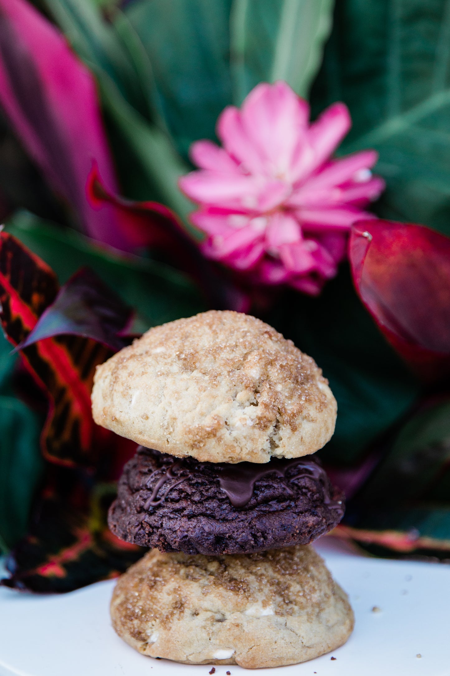 A Monthly COOKIE Subscription Box, (Most Popular Gift) Ships 1st week of Each Month-Limited Slots Available