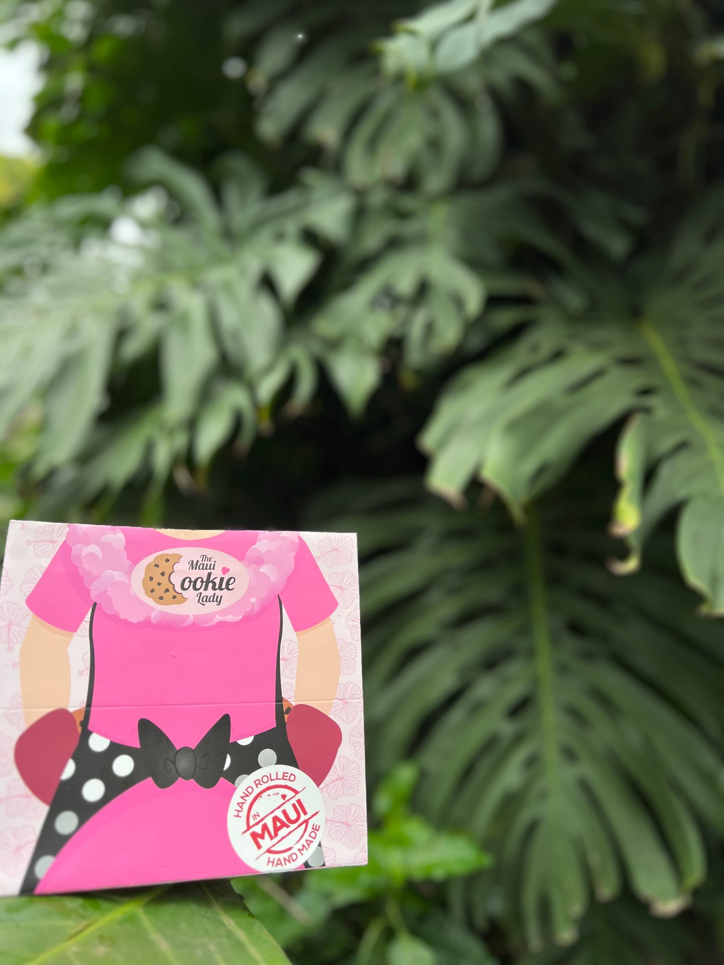 Apron Gift Bag