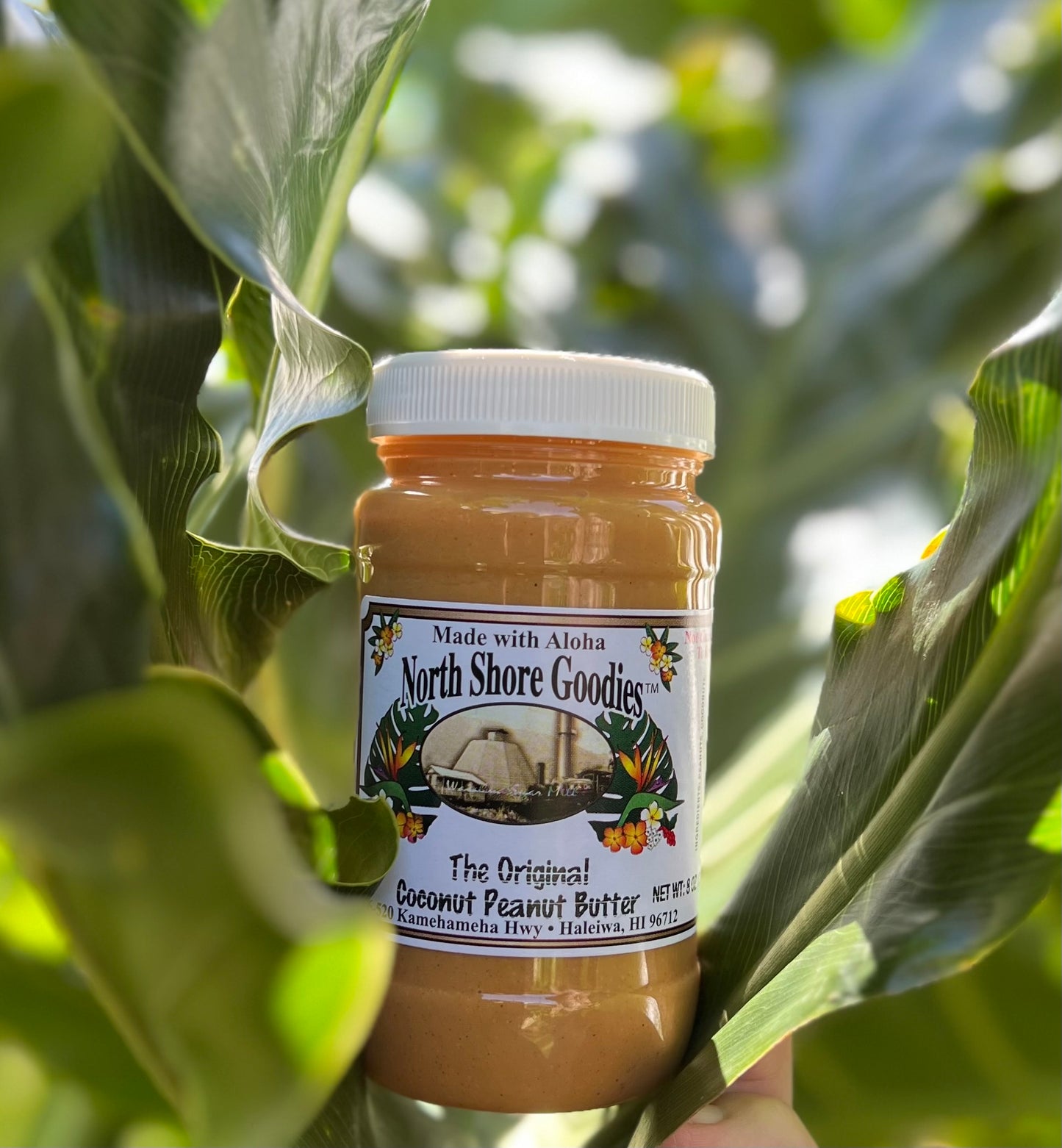North Shore Peanut Butter -(Owner's Favorite PB)