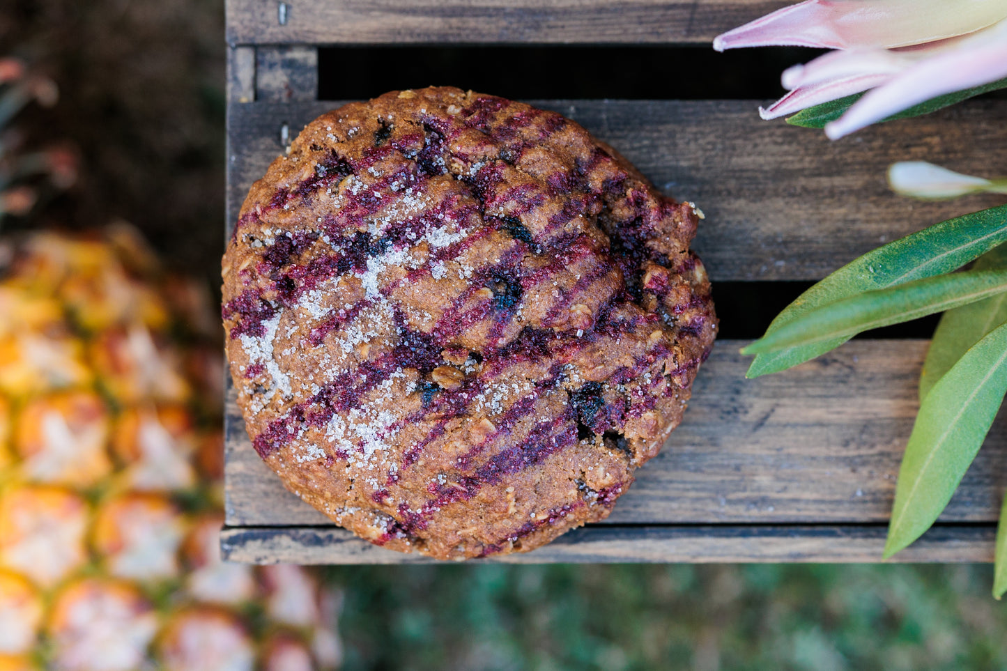 Oatmeal Blueberry Molasses topped w Blueberry Reduction & Lilikoi (Passionfruit) Organic Sprinkle (Limited Edition)