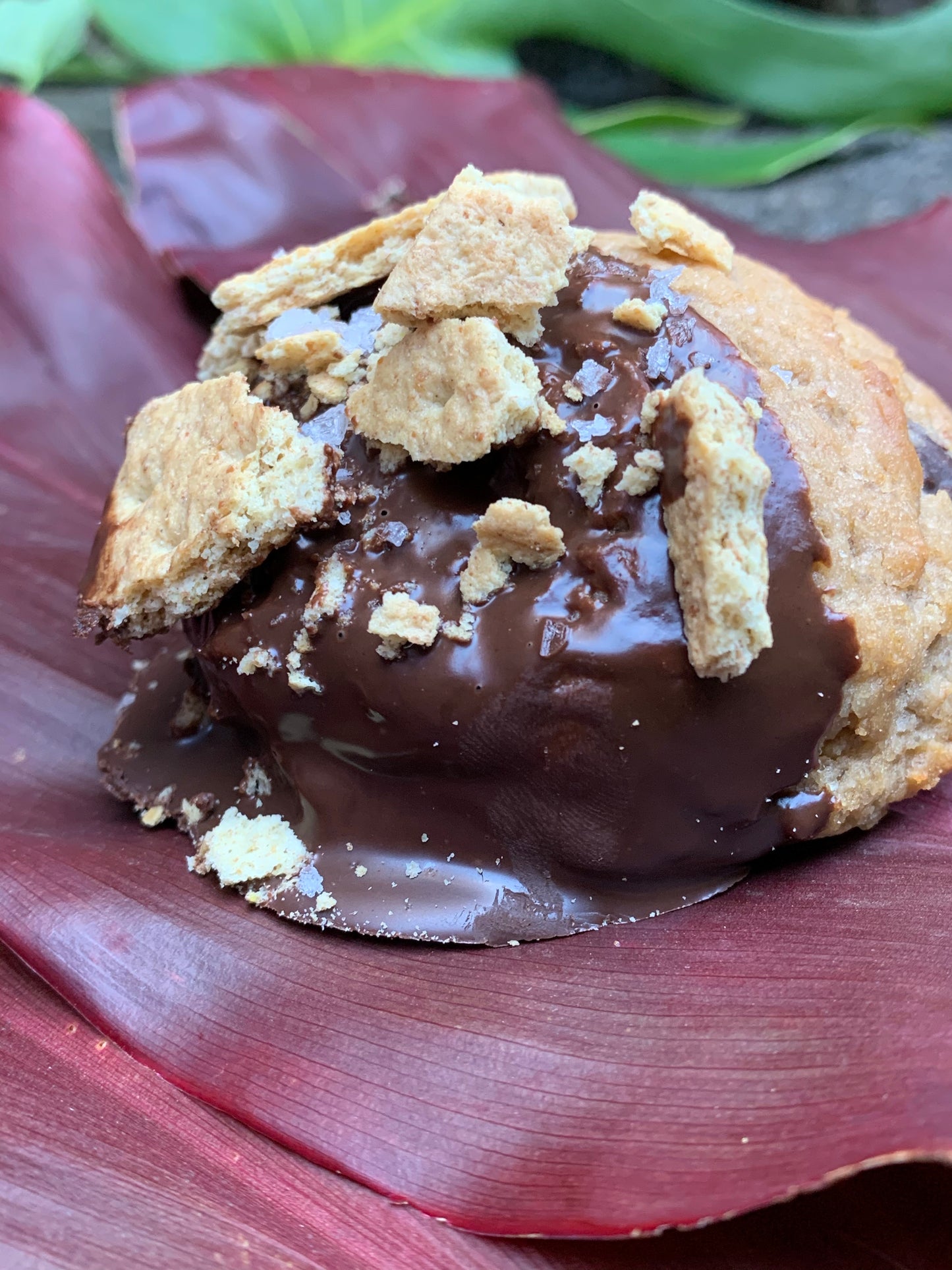 Smore-ish -PB Salted Marshmallow Fluff Stuffed Peanut Butter Dipped Cookie w Graham Crackers (Limited Supply)