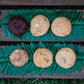 The "Honu" Sea Turtle" Collection -Custom Gold Foiled Gorgeous 12 Piece Gift Box
