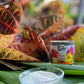 Mango Infused Organic Sugar, The Maui Cookie Lady 4oz tin can