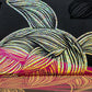 The "Honu" Sea Turtle" Collection -Custom Gold Foiled Gorgeous 12 Piece Gift Box