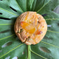 Blackstrap Gingersnap (Seasonal)